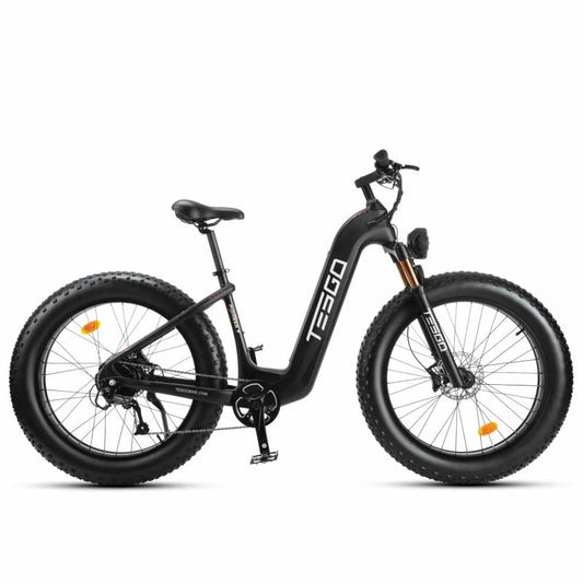 Pioneer electric bike 26inch fat tire  carbon steel with 48V 20AH battery and 1000W motor power