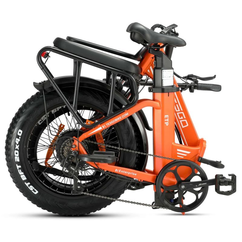 Enterprise electric bike 20 fat tire alloy frame with 48V 18AH battery and 750W motor