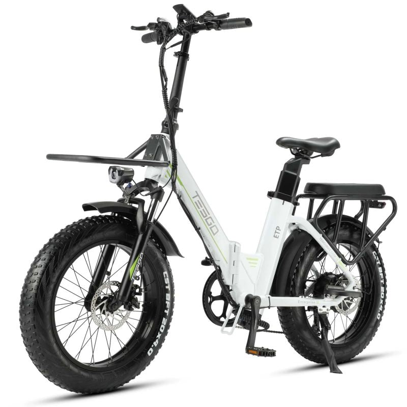 Enterprise electric bike 20 fat tire alloy frame with 48V 18AH battery and 750W motor