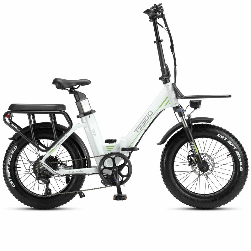 Enterprise electric bike 20 fat tire alloy frame with 48V 18AH battery and 750W motor