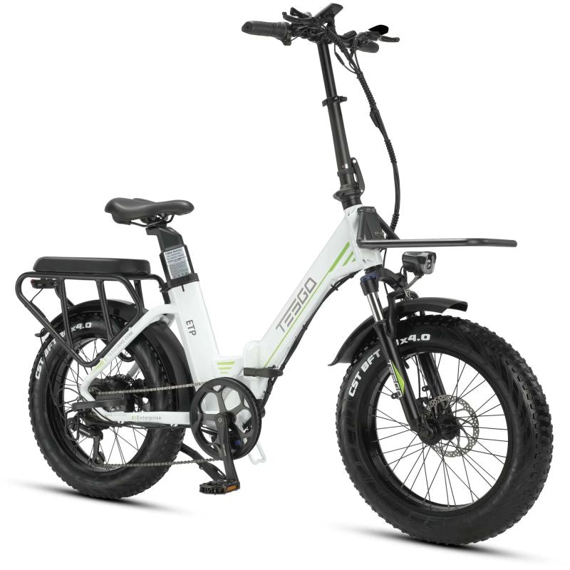 Enterprise electric bike 20 fat tire alloy frame with 48V 18AH battery and 750W motor