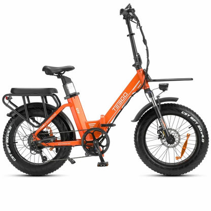 Enterprise electric bike 20 fat tire alloy frame with 48V 18AH battery and 750W motor