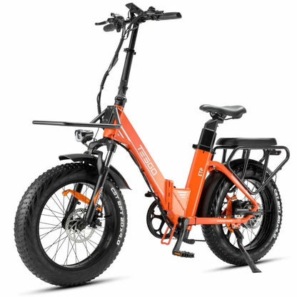 Enterprise electric bike 20 fat tire alloy frame with 48V 18AH battery and 750W motor