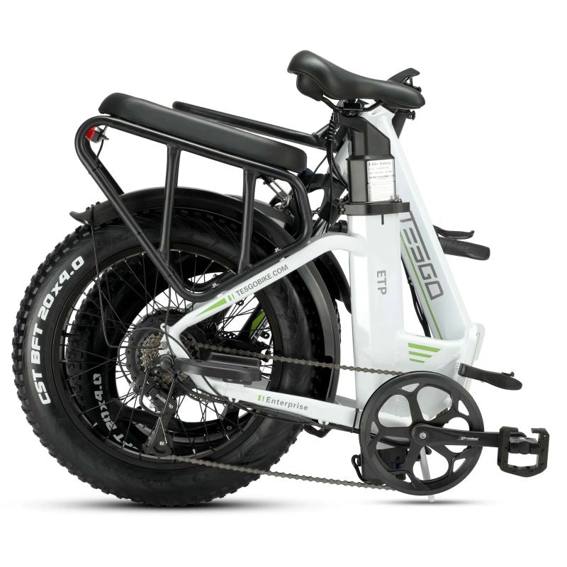 Enterprise electric bike 20 fat tire alloy frame with 48V 18AH battery and 750W motor