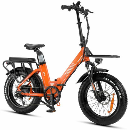 Enterprise electric bike 20 fat tire alloy frame with 48V 18AH battery and 750W motor