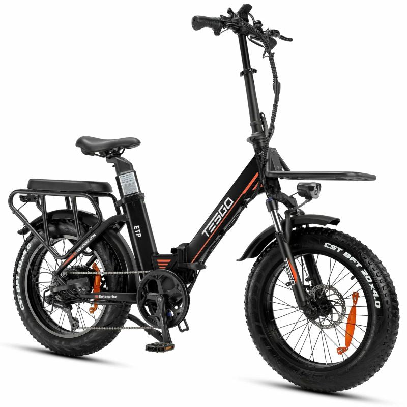 Enterprise electric bike 20 fat tire alloy frame with 48V 18AH battery and 750W motor