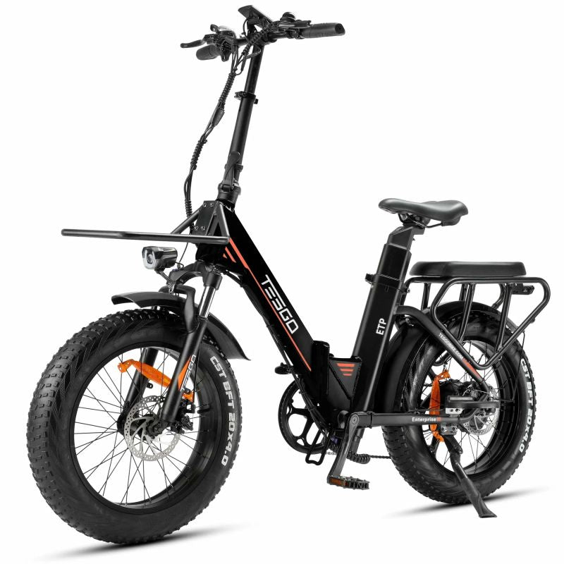 Enterprise electric bike 20 fat tire alloy frame with 48V 18AH battery and 750W motor